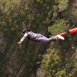 Meet your Posher, Leslie